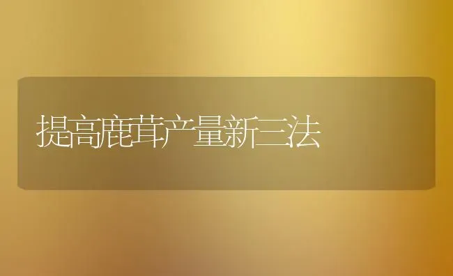 提高鹿茸产量新三法 | 养殖知识