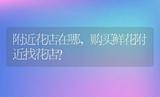 附近花店在哪,购买鲜花附近找花店？ | 养殖学堂