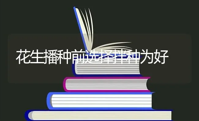 花生播种前选择拌种为好 | 养殖知识