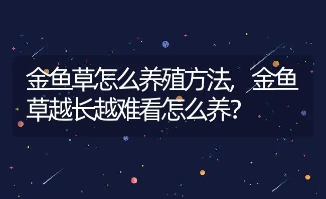 金鱼草怎么养殖方法,金鱼草越长越难看怎么养？ | 养殖科普