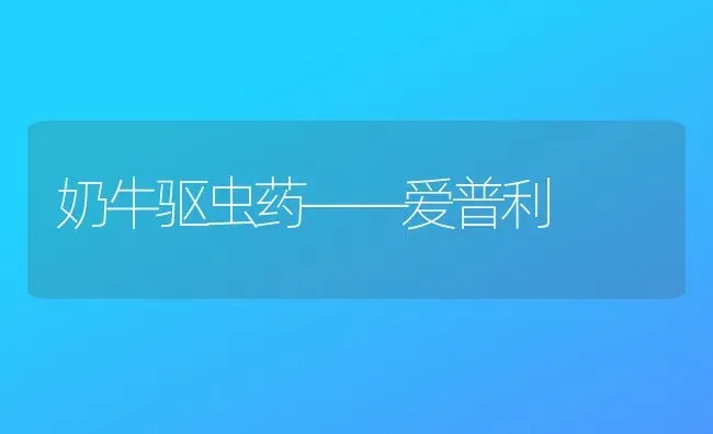 奶牛驱虫药——爱普利 | 养殖知识