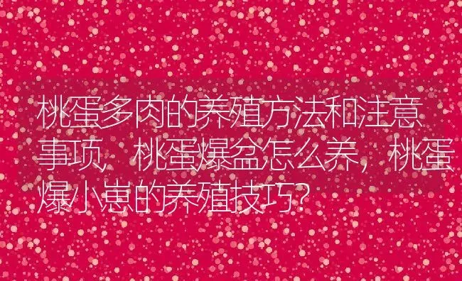 桃蛋多肉的养殖方法和注意事项,桃蛋爆盆怎么养，桃蛋爆小崽的养殖技巧？ | 养殖科普