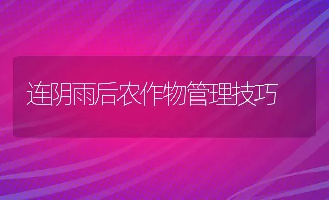 连阴雨后农作物管理技巧 | 养殖知识