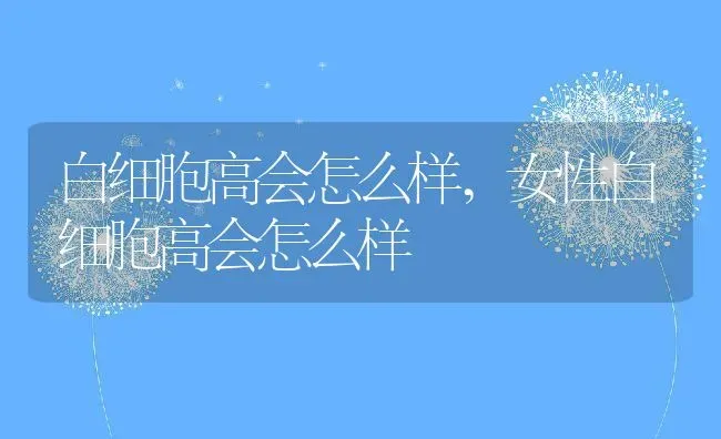 白细胞高会怎么样,女性白细胞高会怎么样 | 养殖资料