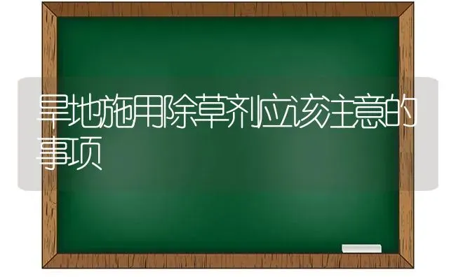 旱地施用除草剂应该注意的事项 | 养殖技术大全