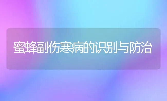 蜜蜂副伤寒病的识别与防治 | 养殖技术大全