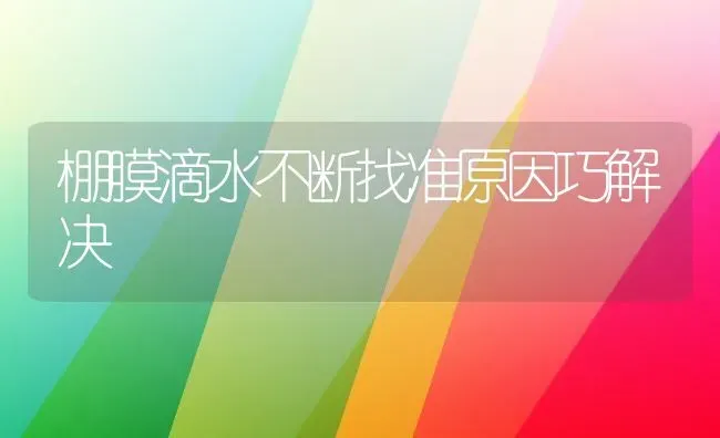 棚膜滴水不断找准原因巧解决 | 养殖技术大全