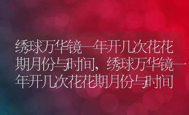 绣球万华镜一年开几次花花期月份与时间,绣球万华镜一年开几次花花期月份与时间 | 养殖科普