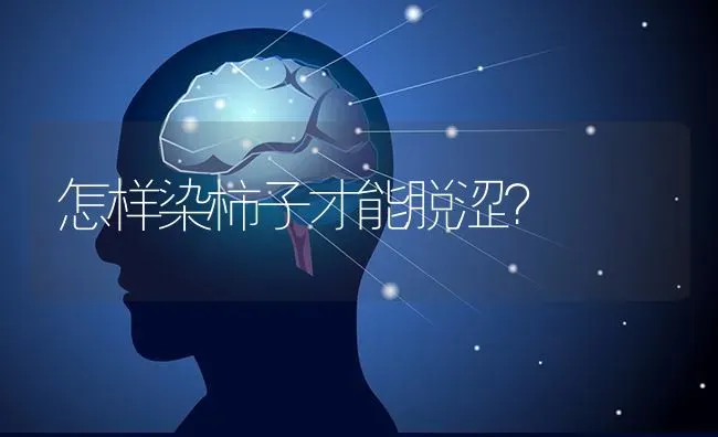 怎样染柿子才能脱涩? | 养殖知识