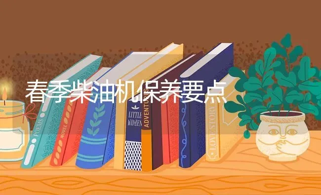 春季柴油机保养要点 | 养殖技术大全