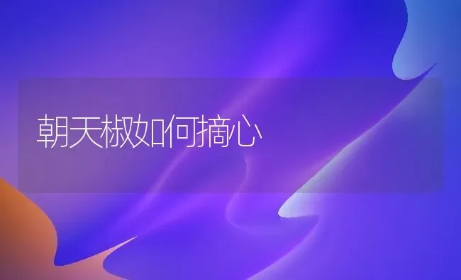 朝天椒如何摘心 | 养殖知识