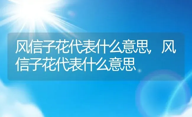 风信子花代表什么意思,风信子花代表什么意思 | 养殖科普
