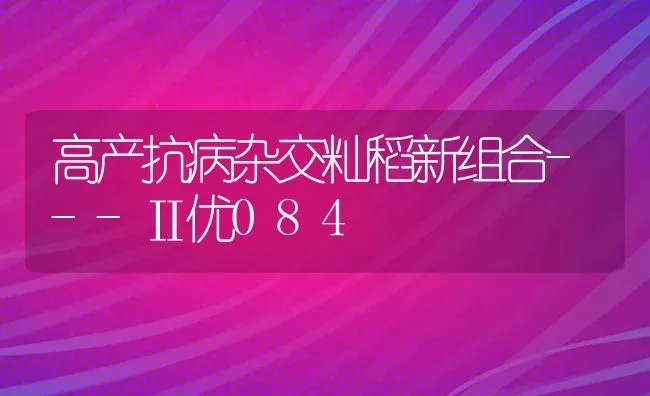 高产抗病杂交籼稻新组合---Ⅱ优084 | 养殖技术大全