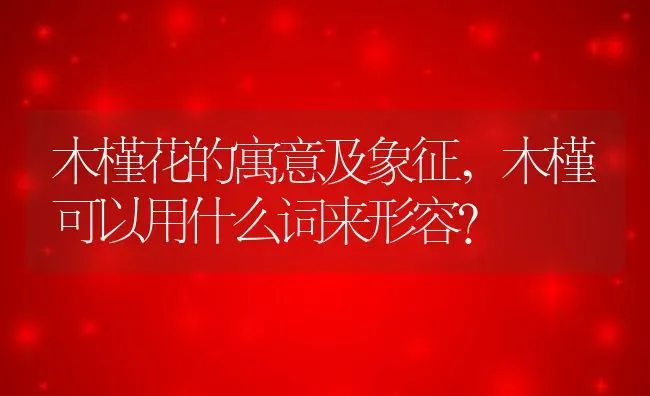 木槿花的寓意及象征,木槿可以用什么词来形容？ | 养殖科普