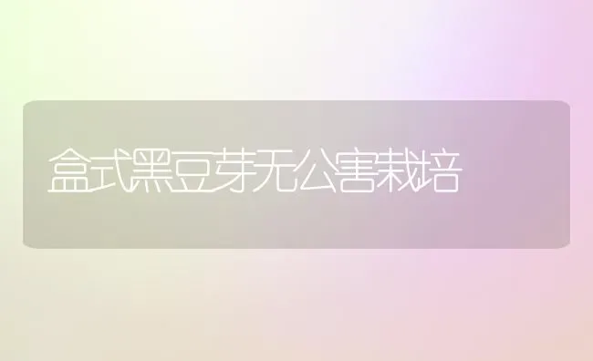 盒式黑豆芽无公害栽培 | 养殖知识