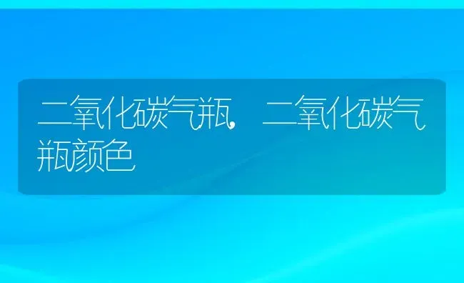 二氧化碳气瓶,二氧化碳气瓶颜色 | 养殖科普