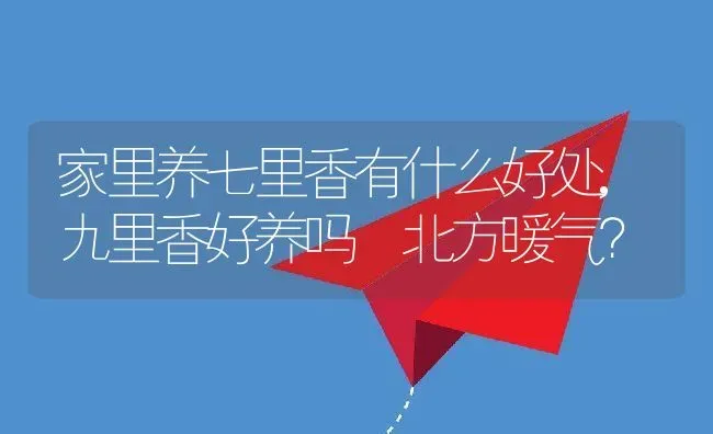 家里养七里香有什么好处,九里香好养吗 北方暖气？ | 养殖科普