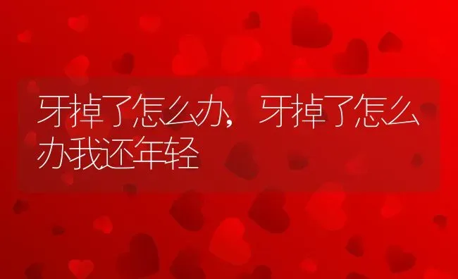 牙掉了怎么办,牙掉了怎么办我还年轻 | 养殖科普