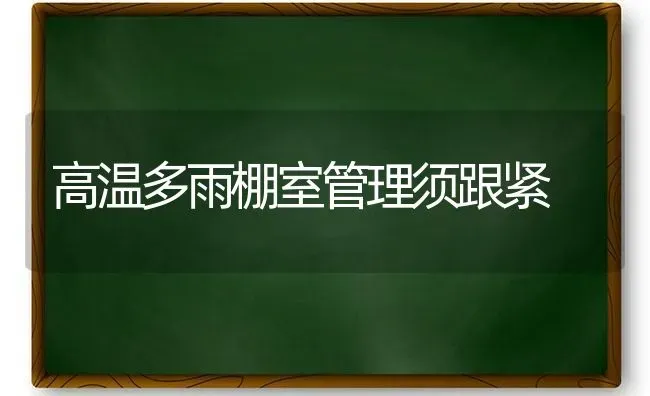 施用叶面肥牢记“四个建议” | 养殖技术大全