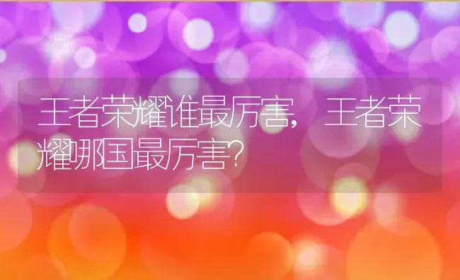 王者荣耀谁最厉害,王者荣耀哪国最厉害？ | 养殖科普