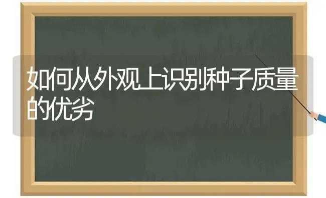 如何从外观上识别种子质量的优劣 | 养殖知识