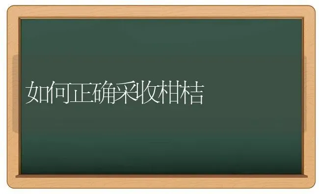 如何正确采收柑桔 | 养殖知识