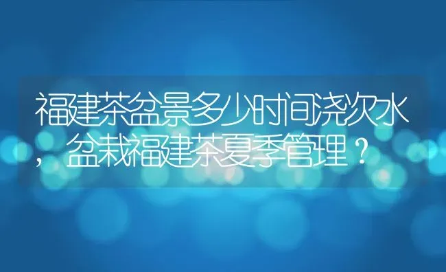 福建茶盆景多少时间浇次水,盆栽福建茶夏季管理？ | 养殖科普