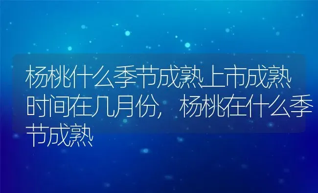 杨桃什么季节成熟上市成熟时间在几月份,杨桃在什么季节成熟 | 养殖学堂