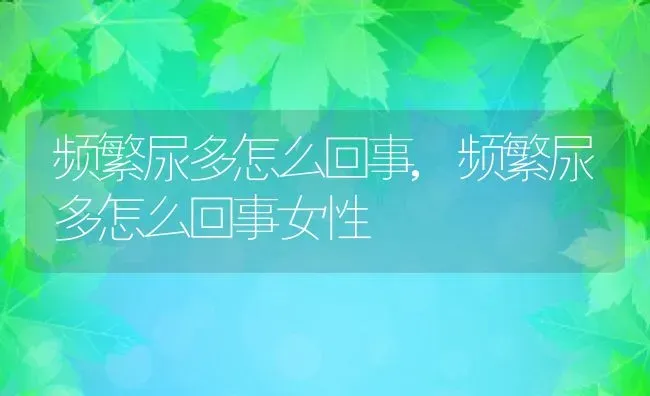 频繁尿多怎么回事,频繁尿多怎么回事女性 | 养殖资料