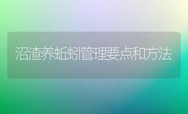 沼渣养蚯蚓管理要点和方法 | 养殖技术大全