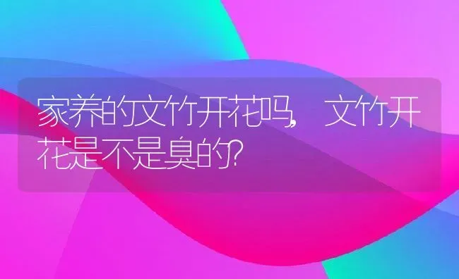 家养的文竹开花吗,文竹开花是不是臭的？ | 养殖科普