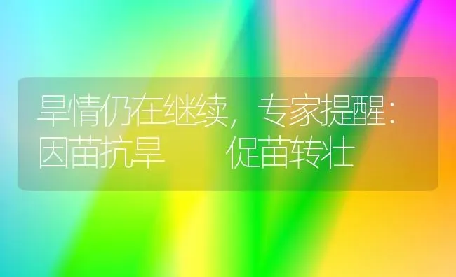 旱情仍在继续,专家提醒：因苗抗旱  促苗转壮 | 养殖知识