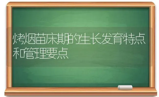 烤烟苗床期的生长发育特点和管理要点 | 养殖技术大全