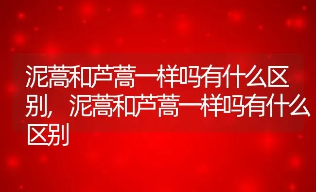 泥蒿和芦蒿一样吗有什么区别,泥蒿和芦蒿一样吗有什么区别 | 养殖科普