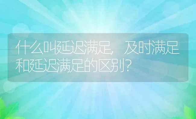 什么叫延迟满足,及时满足和延迟满足的区别？ | 养殖科普