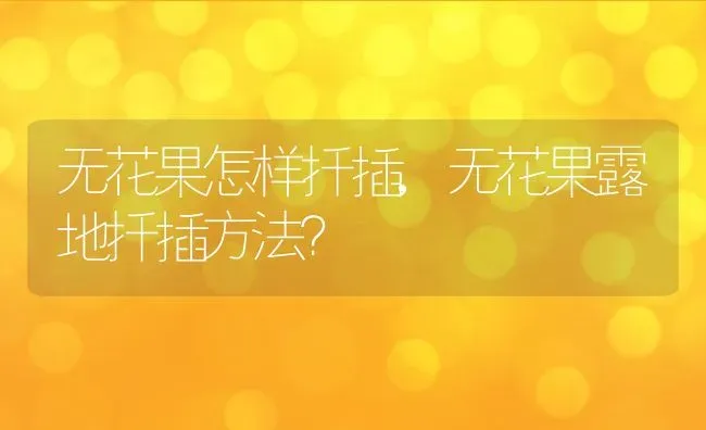 无花果怎样扦插,无花果露地扦插方法？ | 养殖科普