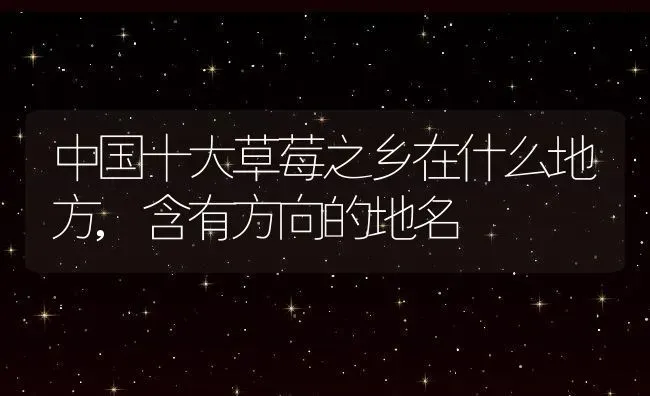 中国十大草莓之乡在什么地方,含有方向的地名 | 养殖学堂