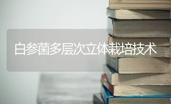 白参菌多层次立体栽培技术 | 养殖知识