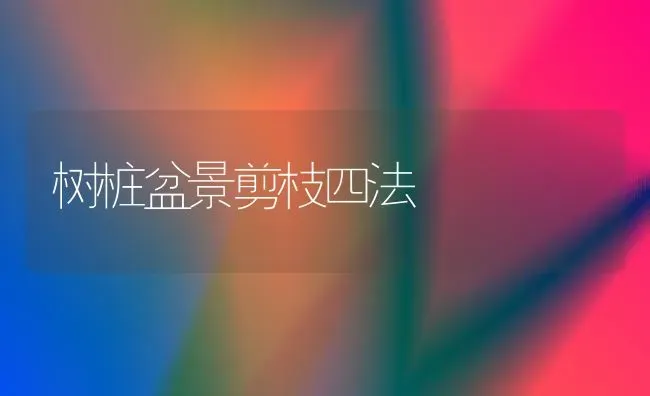 树桩盆景剪枝四法 | 养殖技术大全