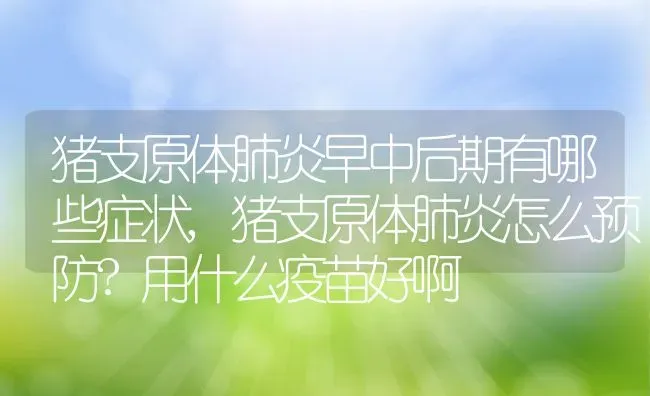 猪支原体肺炎早中后期有哪些症状,猪支原体肺炎怎么预防?用什么疫苗好啊 | 养殖学堂