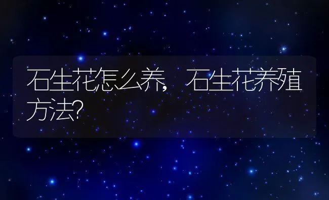 石生花怎么养,石生花养殖方法？ | 养殖科普