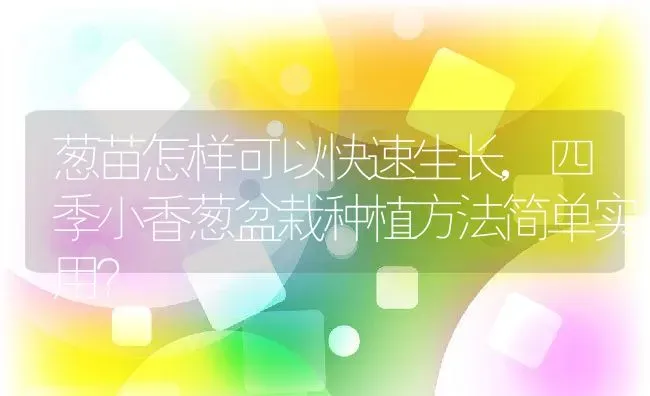 葱苗怎样可以快速生长,四季小香葱盆栽种植方法简单实用？ | 养殖科普