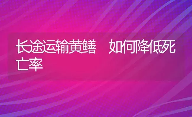 长途运输黄鳝 如何降低死亡率 | 养殖知识