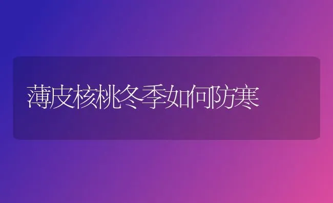 薄皮核桃冬季如何防寒 | 养殖技术大全