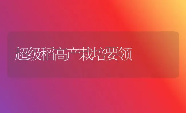 超级稻高产栽培要领 | 养殖技术大全