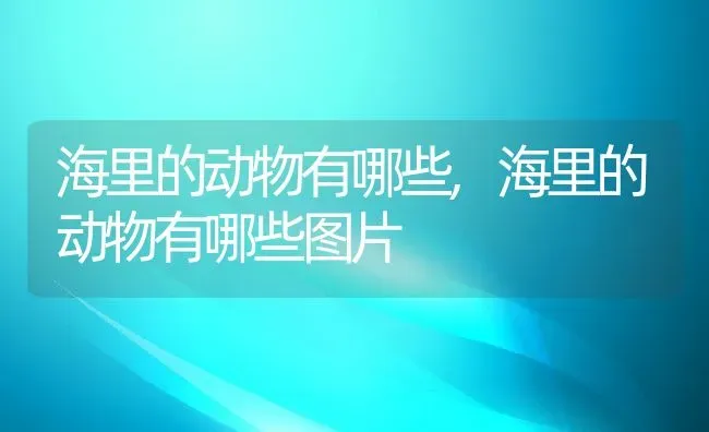 海里的动物有哪些,海里的动物有哪些图片 | 养殖资料