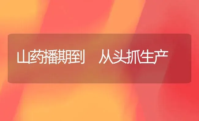 山药播期到 从头抓生产 | 养殖技术大全