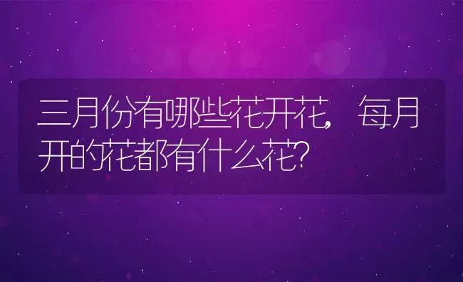 三月份有哪些花开花,每月开的花都有什么花？ | 养殖科普