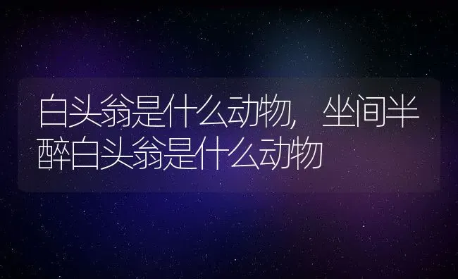 白头翁是什么动物,坐间半醉白头翁是什么动物 | 养殖资料