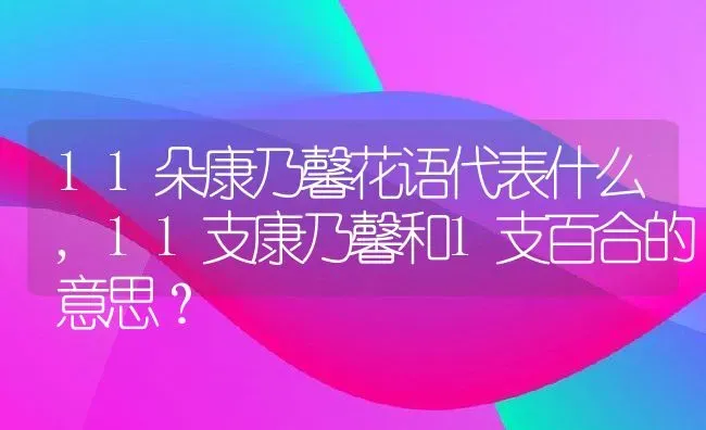 11朵康乃馨花语代表什么,11支康乃馨和1支百合的意思？ | 养殖学堂